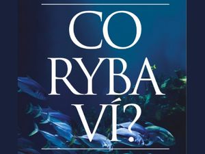 Zasoutěžte si o pohled do světa ryb