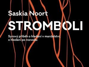 Syrový příběh o hledání v manželství, o hledání po rozvodu