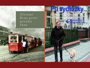 Po Brně šalinou, po Praze se psem