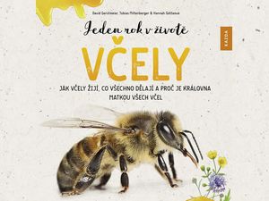Jak žijí včelky?
