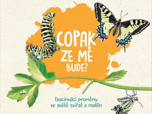 Proměny ve světě zvířat a rostlin