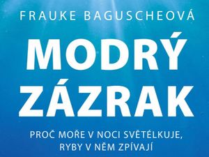 Zázrak jménem moře