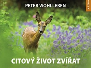 Úžasná tvář skrytého světa
