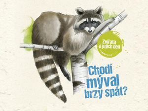 Jak zvířátka tráví den?