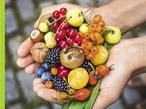 Vydejte se objevovat jedlou přírodu ve svém okolí