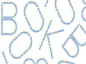 Book in Progress 2