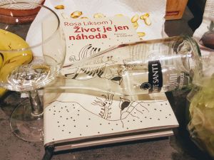 Stinné stránky společnosti