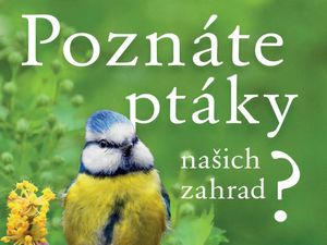 Zasoutěžte si o pomocníka při poznávání ptáků