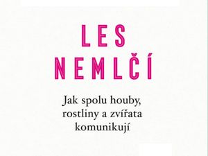 V lese to žije a komunikuje…