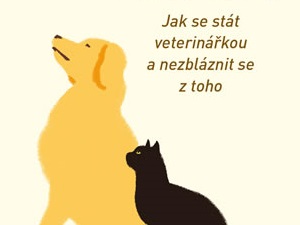 O drsných stránkách krásného povolání