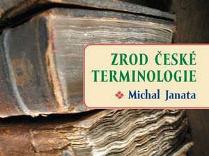 O české terminologii