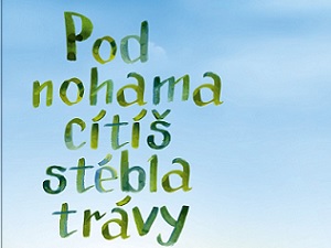 Pod nohama cítíš stébla trávy