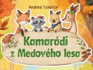 Koťátko hledá domov…