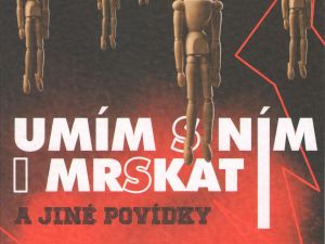 Povídky napsané životem