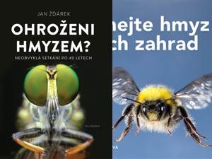 Hmyz ze všech úhlů