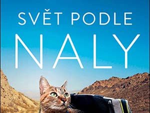 Zahrajte si o cestu kolem světa s kočkou v košíku