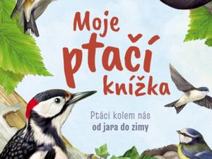 Knížka o ptácích pro děti