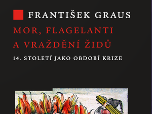 Krize pozdního středověku