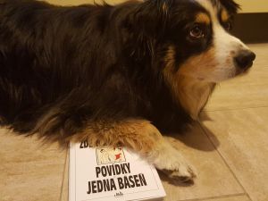 Osm plus jedna