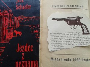 Čtenářská recenze: Mimochodem (Woody Allen)