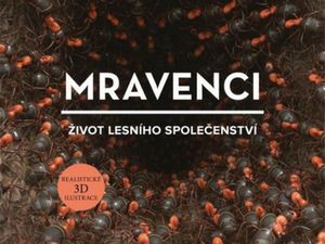 Nahlédněte do mraveniště