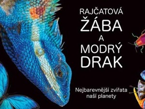Svět zvířat v barvách