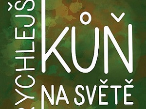 Ukázka z knihy Nejrychlejší kůň na světě, povídka Muzikant na jezeře 1. část (Mirek Vostrý)