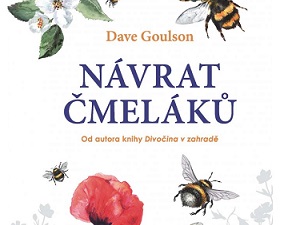 Fascinující svět čmeláků