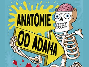 Získejte barevného průvodce lidským tělem
