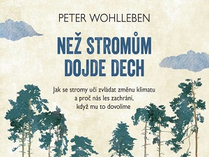 O lásce k přírodě a stromům především