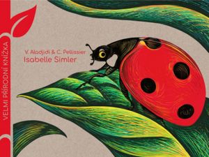 Krásné leporelo o životě berušky