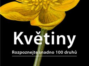 Naučte se rozpoznávat květiny