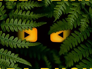 Případ s krycím názvem Hladový dědek
