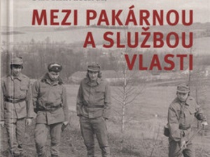 Fenomén povinné vojenské služby
