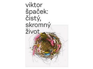 Zasoutěžte si o příběhy ze života
