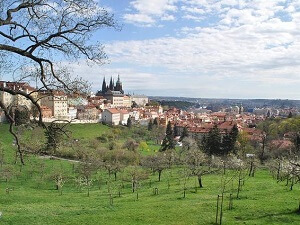Tajemný kolega, 6. část: Pražské jaro