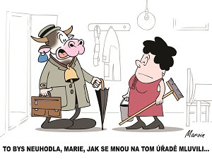 Jsi tak mladej, jak velký máš plány!