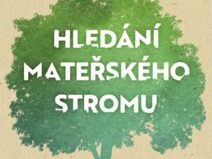 Jak nás mohou zachránit stromy?