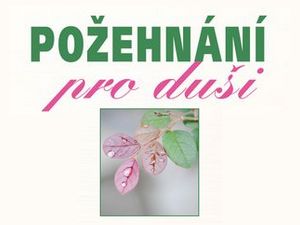 Příběhy k posílení duše