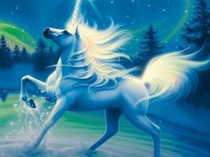 Zasoutěžte si o magické vykládací karty s jednorožci