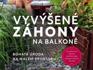 Pěstujte ovoce a zeleninu i na malém balkoně