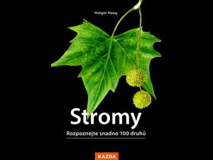 Zahrajte si o atlas stromů střední Evropy