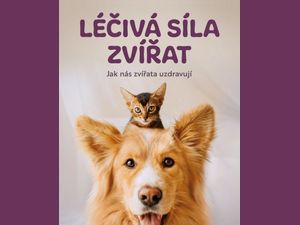 Jak zvířata prospívají našemu zdraví a duši