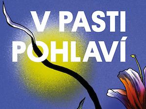 Ženy a společnost