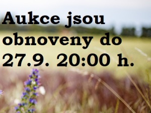Prodloužení proběhlých aukcí a soutěže