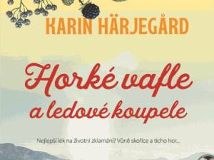 Získejte román o hledání naděje v překrásné horské krajině