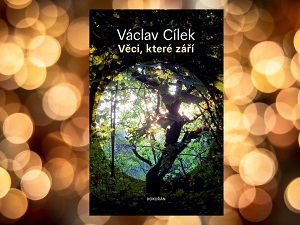 Umění jako cesta k porozumění světa