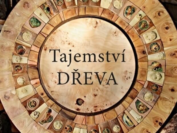 Rozhovor s Martinem Patřičným