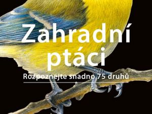 Poznejte zpěváčky našich zahrad