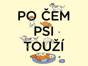 Vyhrajte užitečného rádce při výchově šťastného psa